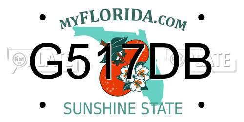 G517DB Florida License Plate