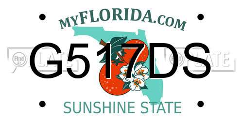 G517DS Florida License Plate