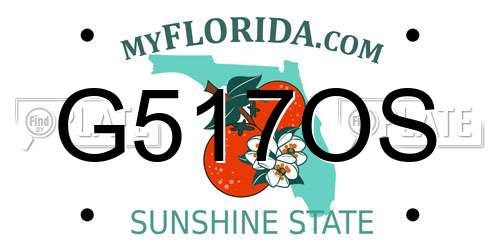 G517OS Florida License Plate