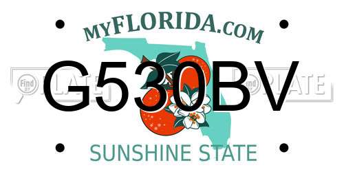G530BV Florida License Plate