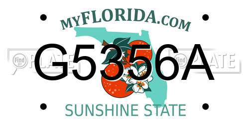 G5356A Florida License Plate