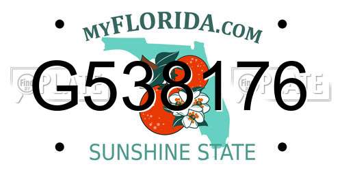 G538176 Florida License Plate