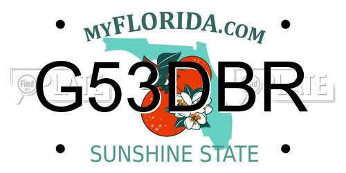 G53DBR Florida License Plate