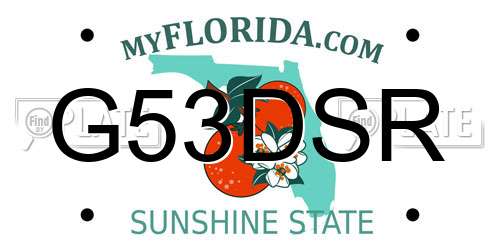 G53DSR Florida License Plate