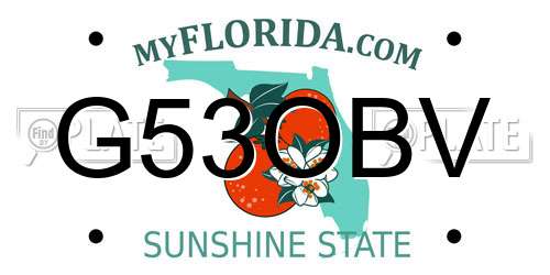 G53OBV Florida License Plate