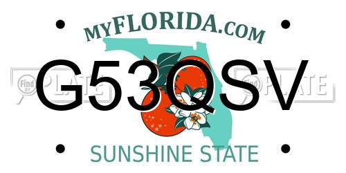 G53QSV Florida License Plate