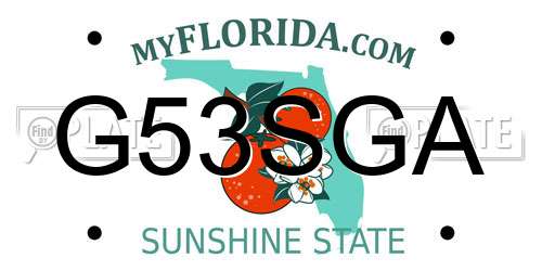 G53SGA Florida License Plate