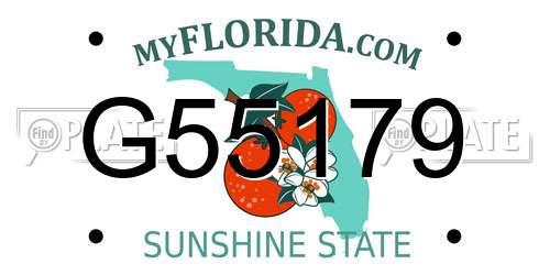 G55179 Florida License Plate