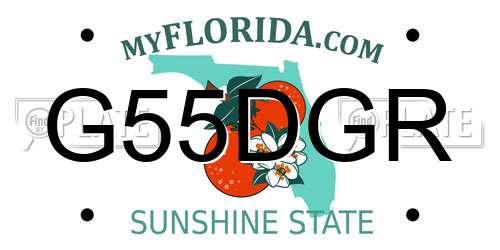 G55DGR Florida License Plate