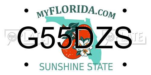 G55DZS Florida License Plate