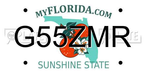 G55ZMR Florida License Plate