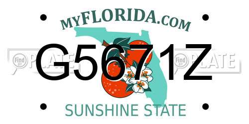 G5671Z Florida License Plate