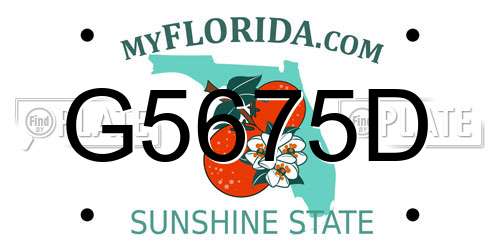 G5675D Florida License Plate