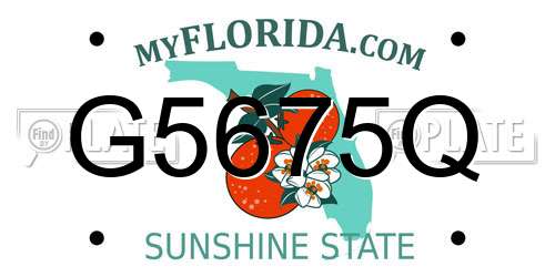 G5675Q Florida License Plate