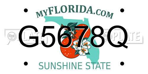 G5678Q Florida License Plate