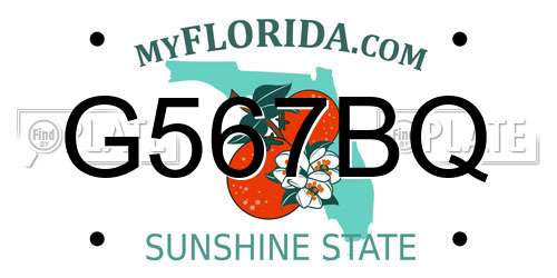 G567BQ Florida License Plate