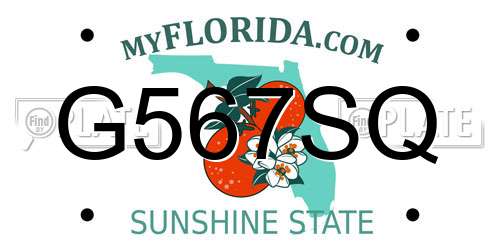 G567SQ Florida License Plate