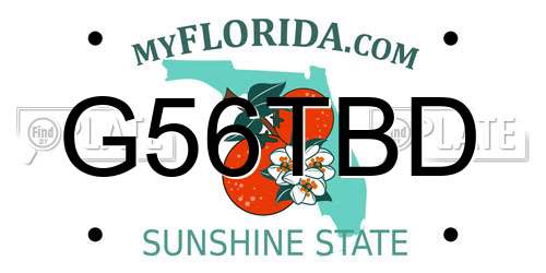 G56TBD Florida License Plate