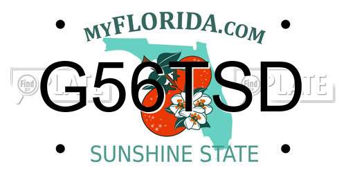 G56TSD Florida License Plate