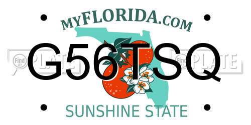 G56TSQ Florida License Plate