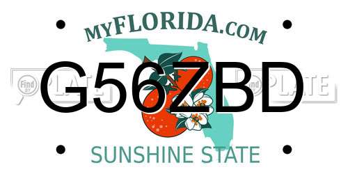 G56ZBD Florida License Plate