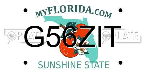 G56ZIT Florida License Plate