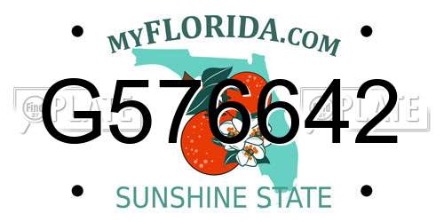 G576642 Florida License Plate