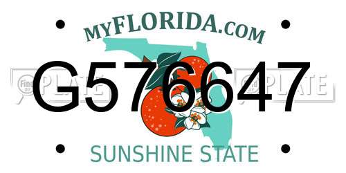 G576647 Florida License Plate