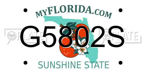 G5802S Florida License Plate