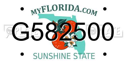 G582500 Florida License Plate