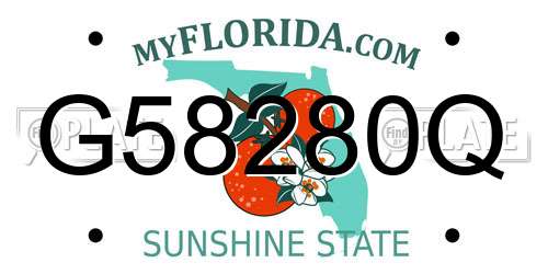 G58280Q Florida License Plate