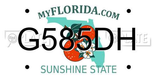 G585DH Florida License Plate
