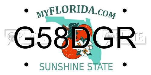 G58DGR Florida License Plate