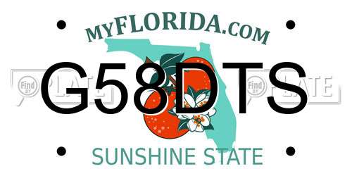 G58DTS Florida License Plate