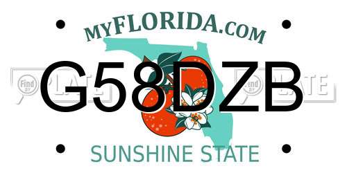 G58DZB Florida License Plate