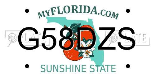 G58DZS Florida License Plate