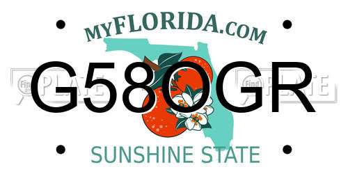 G58OGR Florida License Plate