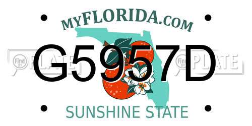 G5957D Florida License Plate