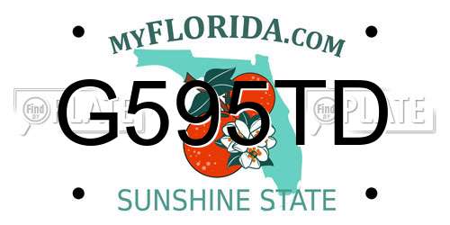 G595TD Florida License Plate