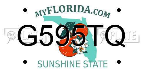 G595TQ Florida License Plate