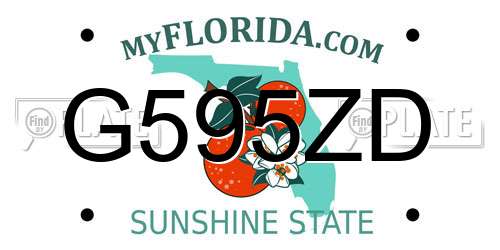G595ZD Florida License Plate