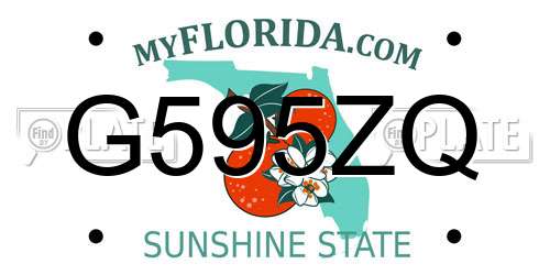 G595ZQ Florida License Plate