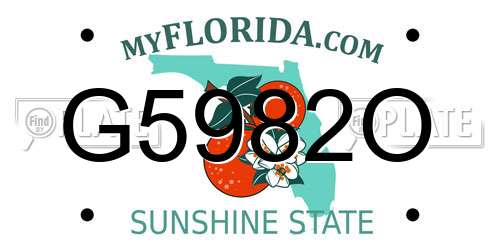 G5982O Florida License Plate