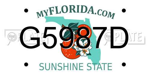 G5987D Florida License Plate