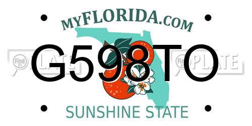 G598TO Florida License Plate