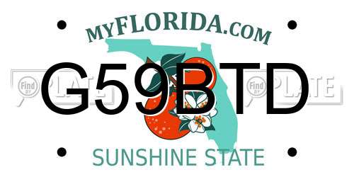 G59BTD Florida License Plate