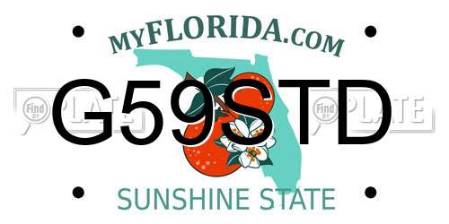 G59STD Florida License Plate