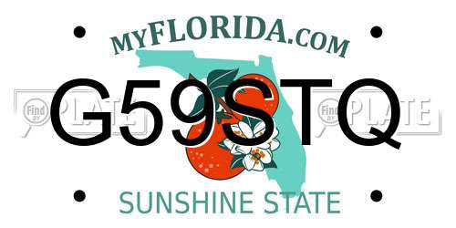 G59STQ Florida License Plate