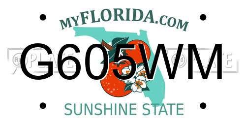 G605WM Florida License Plate