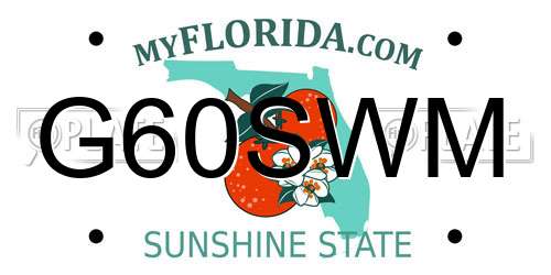 G60SWM Florida License Plate